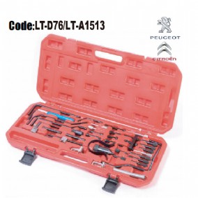 Engine Timing Tool Set PSA Citroěn & PeugeotLT-D76/LT-A1513